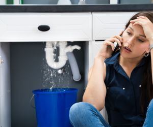 About Plumbers Pros Poyntelle, PA